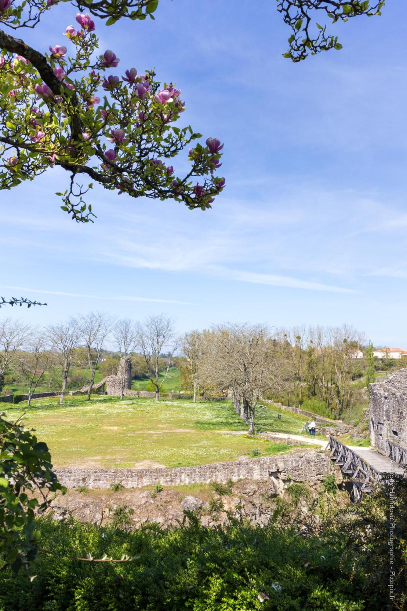 Petite Maison Medievale Parthenay Exteriér fotografie